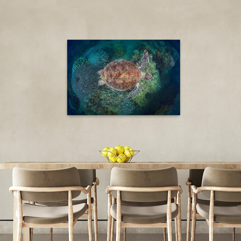 Green Sea Turtle Over Coral Contemporary Turtle Wall Art Print 1 Piece Wrapped Canvas Wall Art, 60.96cm H x 91.44cm W