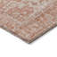Tapis corail intérieur / extérieur lavable à la machine Chayden ACN1104-100136607