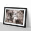 Pair of Loving Lions - Picture Frame Graphic Art Print-55735699-55735701