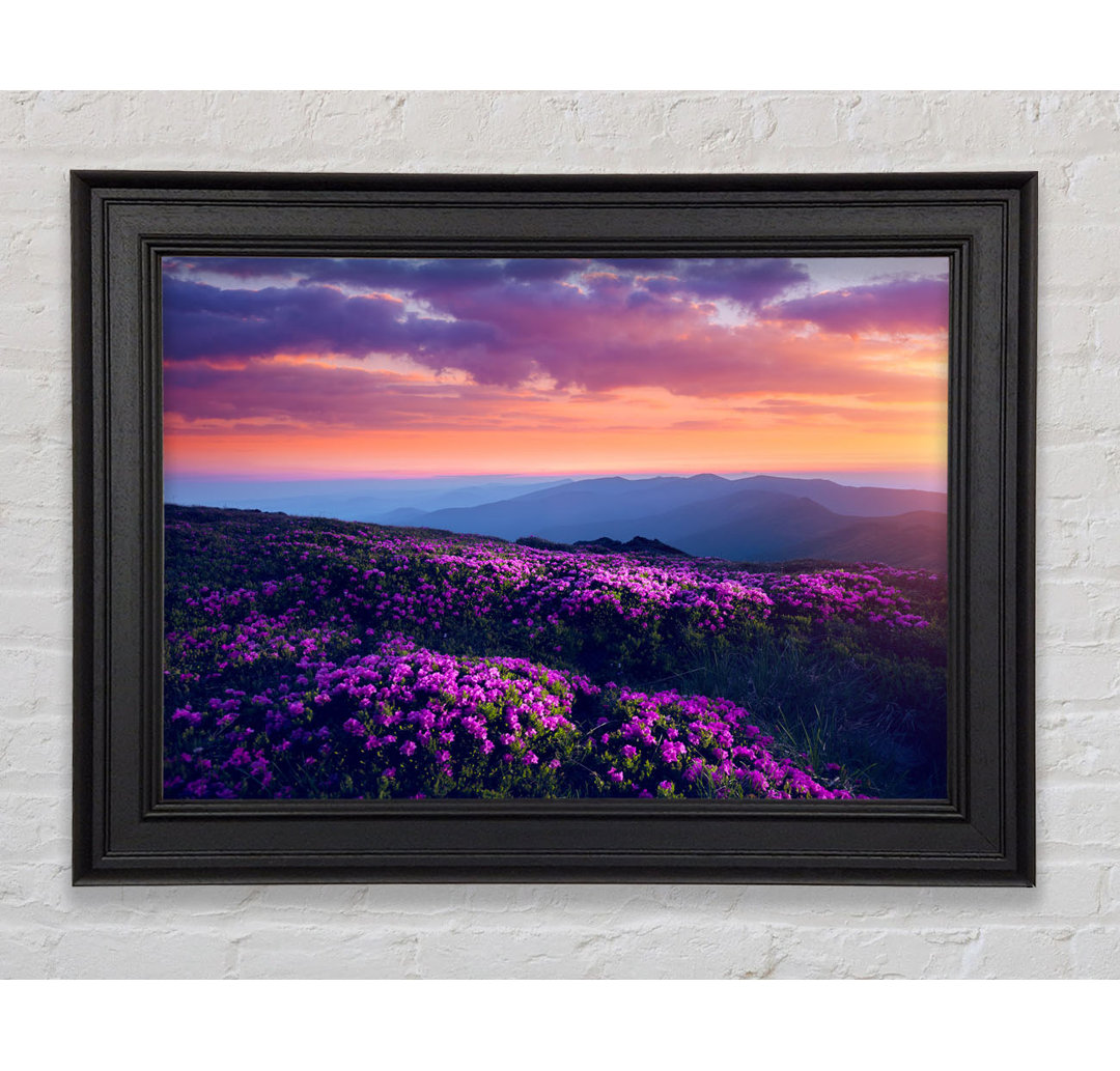 Purple Meadow Mountains Gerahmter Druck