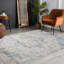 Oriental Area Rug-582642530
