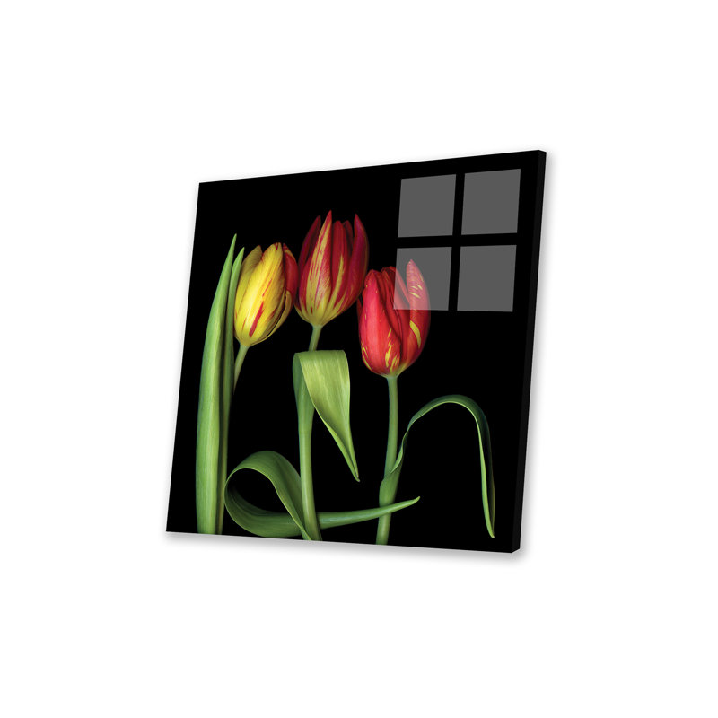 Tulipe X, impression sur verre acrylique