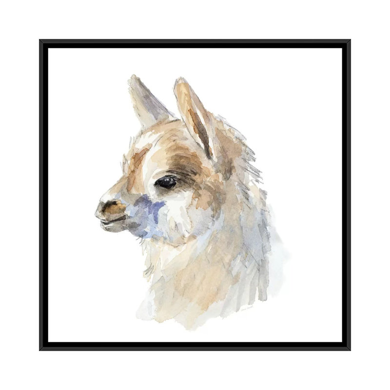 «Side Portrait Llama» par Lanie Loreth - reproduction d'art, Aucun mat, H 26 po x l 26 po x P 1,5 po, Toile avec cadre noir
