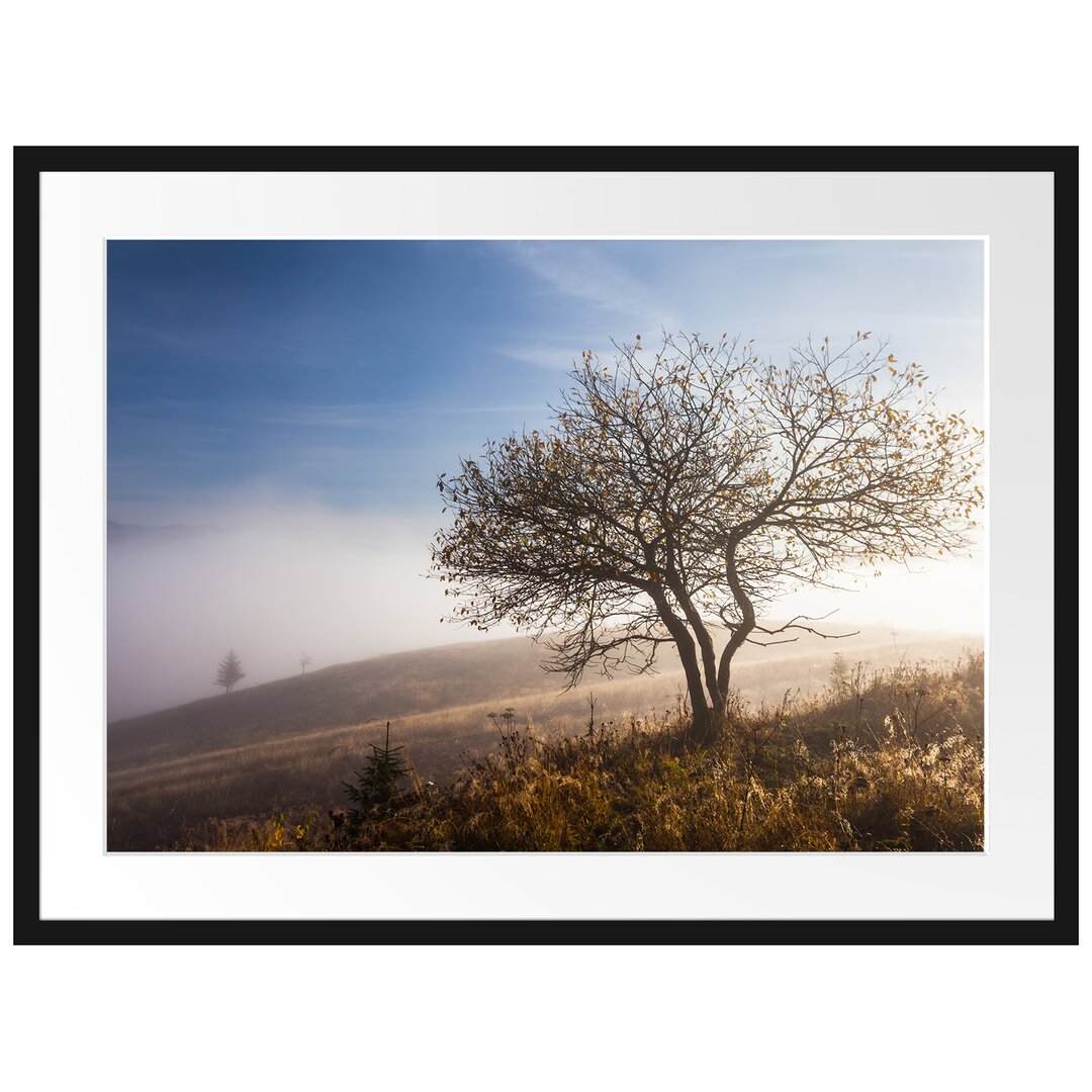 Gerahmtes Poster Baum im hohen Gras