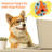 Pet Slow Feeders Toys Interactive Improve Petiq-117330098