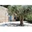 Lampe Balad-70508217-80496969