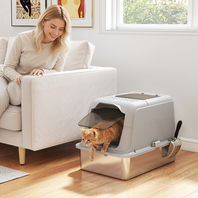 Cat Litter Box