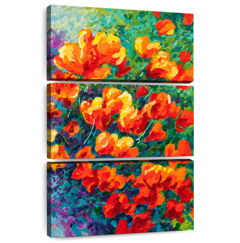 Coquelicots Harnek, Californie, orange