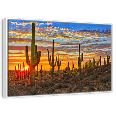 Sunset Cactus