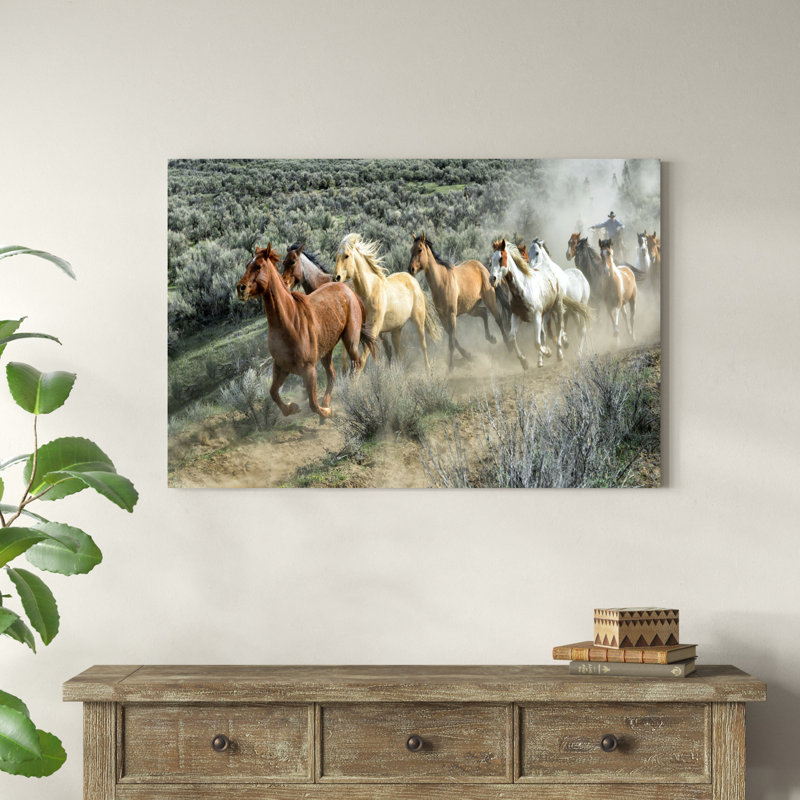 " Stampede I ", 32" H x 48" W x 1.25" D