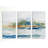 " Blue Solace " 3 - Pieces-24011085