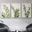 Botanical Wash I 3 pièces-97758415-97758416
