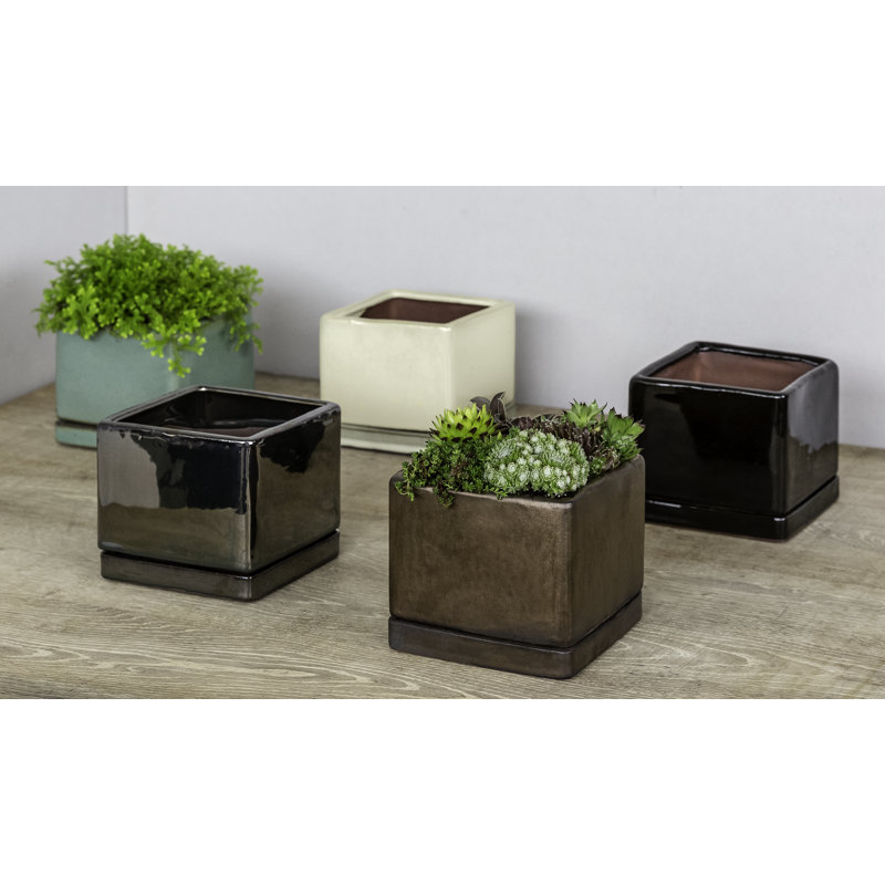 Ensemble de pots à fleurs en terre cuite émaillée 6 pièces I / O Series, Crème, H 4,75 po x l 5,25 po x P 5,25 po