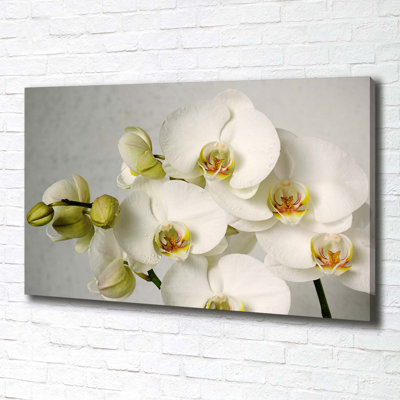 White Orchid - Wrapped Canvas Print