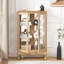 Vitrine Curio