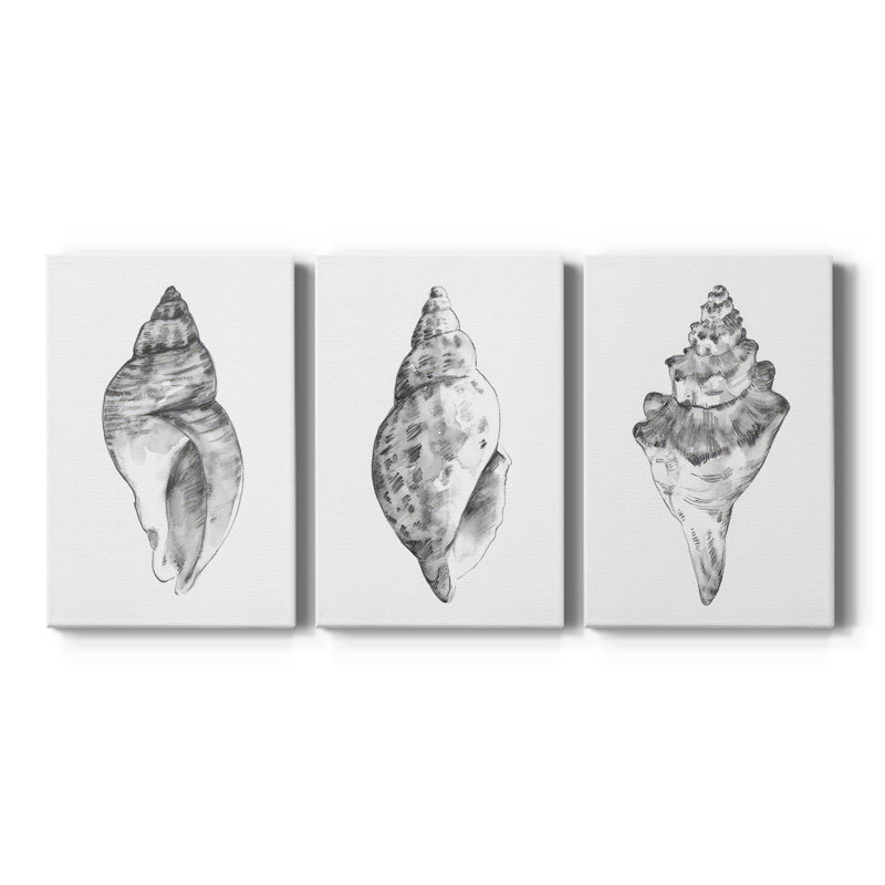 Quiet Conch I  -Custom Wrapped Gallery Canvas - 3 Pieces