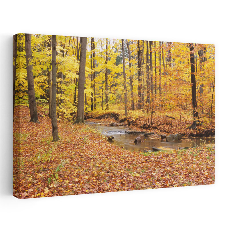 Ruisseau qui coule à travers une forêt Emery Park East Aurora Erie County New York State États-Unis, H 40 po x l 60 po