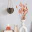 Cidni Hanging Planter