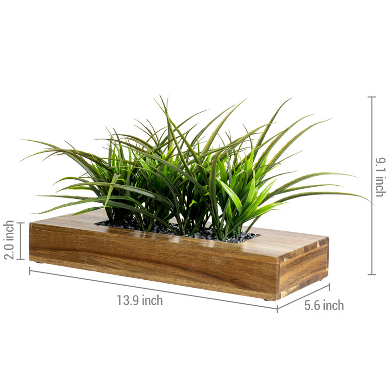 Faux plantes artificielles en bois d'acacia