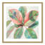 «Pink Ficus II», reproduction d'art-55543211-55543221