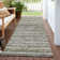 Machine Washable Indoor/Outdoor Claudian ACN1239 Pewter Rug