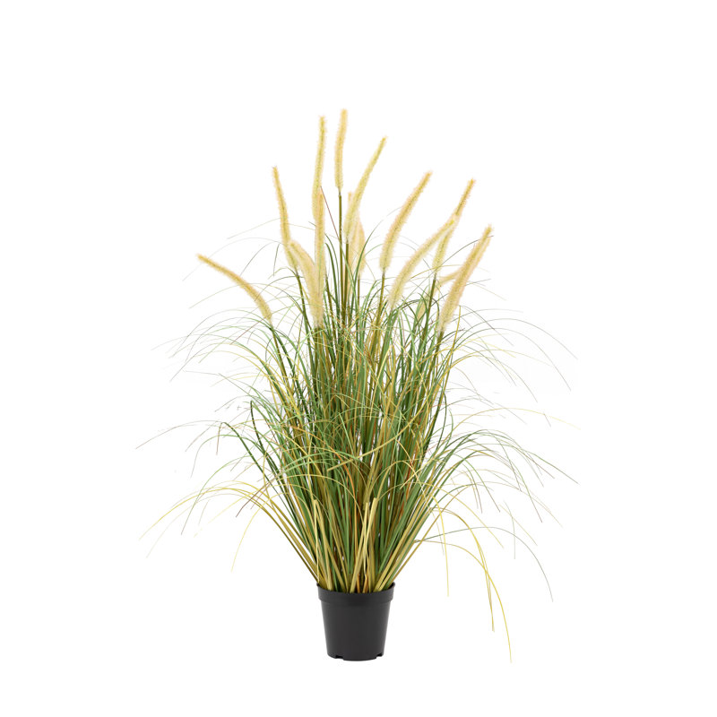 Potted Grass with Cattail Seed Heads (5pk), 81'' H x 50'' W x 50'' D