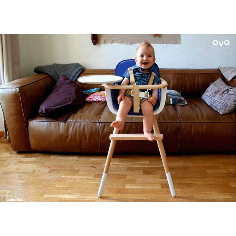 Deleon High Chair