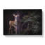 Curious Fawn in Abstract - Wrapped Canvas-55316321