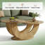 Table d'appoint centrale, table basse, table basse à 2 niveaux