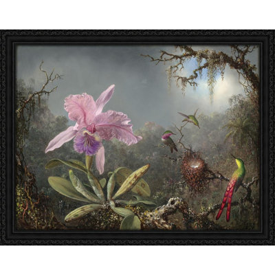 Cattleya Orchid and Three Hummingbirds (1871)