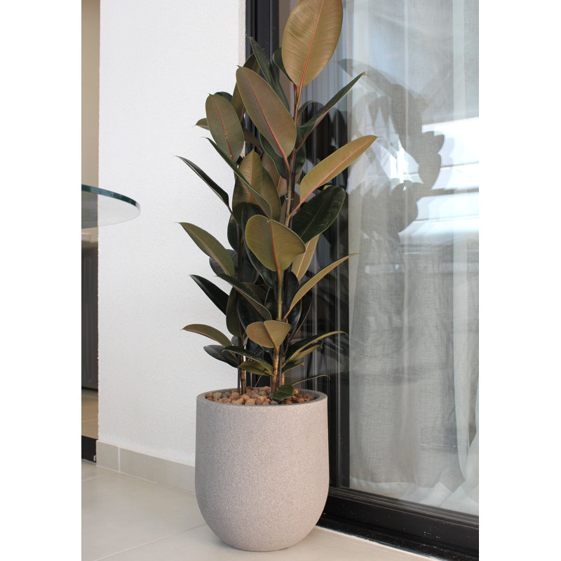 Pot Planter, 18.3" H x 14.5" W x 14.5" D