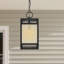 Lanterne suspendue d'extérieur noir mat H 1 po 18 po