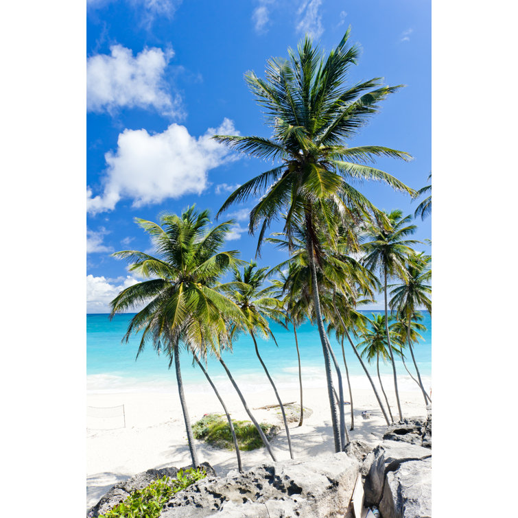 Bay Isle Home Bottom Bay - Wrapped Canvas Photograph | Wayfair.co.uk