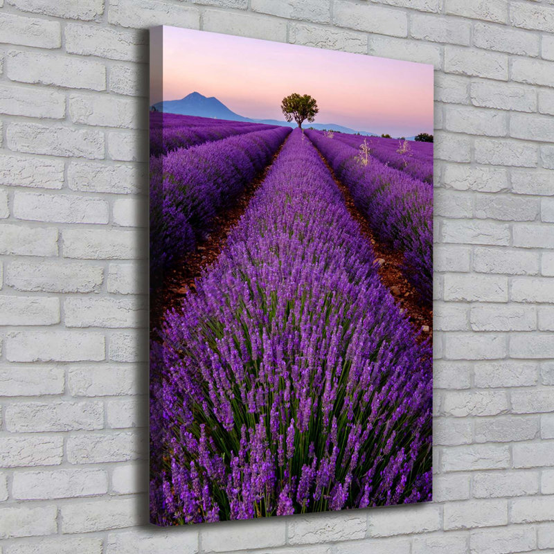 Lavender Field - Wrapped Canvas Print