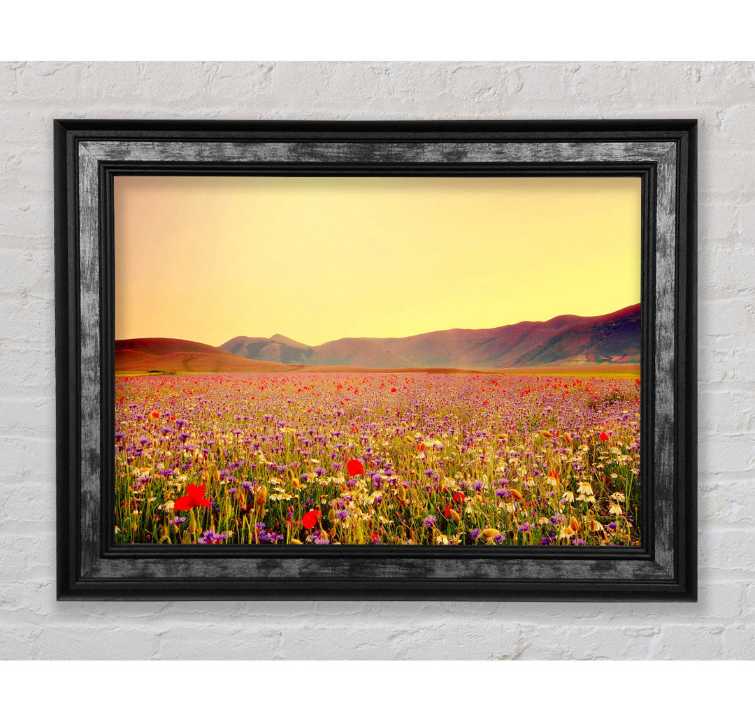 Sunny Field Of Beautiful Wild Flowers - Einzelner Bilderrahmen Kunstdrucke