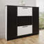 Bertolino 3 Pair Shoe Storage Cabinet-447777846