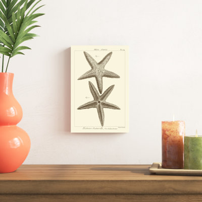 «Striking Starfish I», impression sur toile