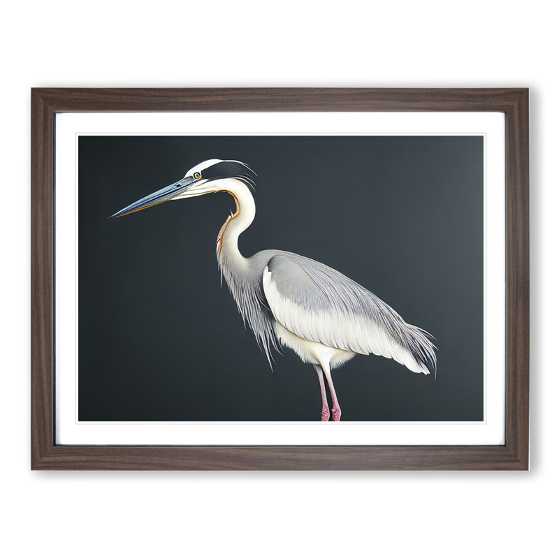 Awesome Heron Bird - Framed Print, 46cm H x 64cm W x 2cm D, Walnut