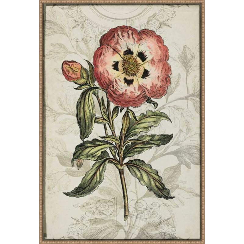 «Keepsake Floral No. 2» par Jennifer Goldberger, reproduction d'art sur toile encadrée