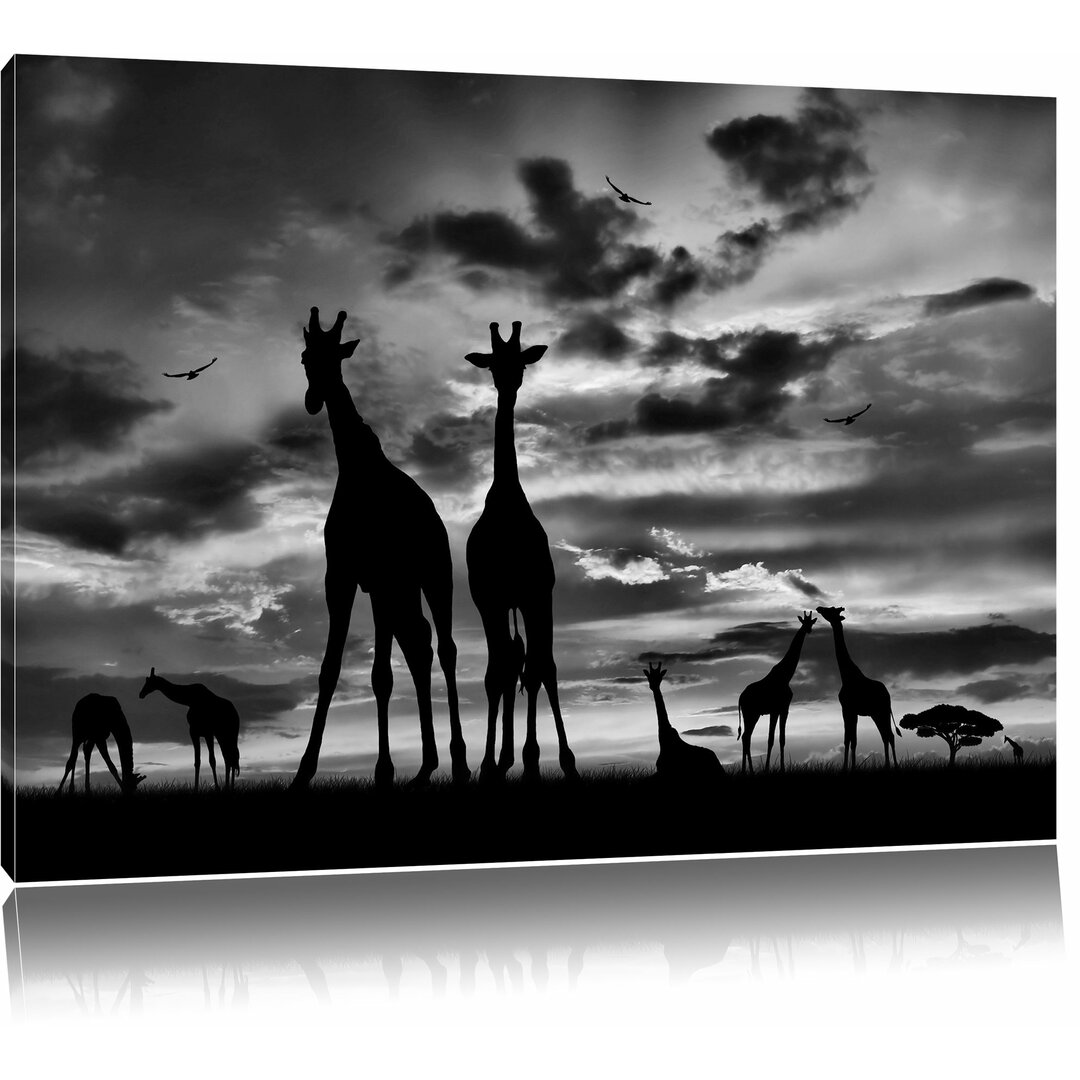 Leinwandbild Afrika Giraffen im Sonnenuntergang in Monochrom