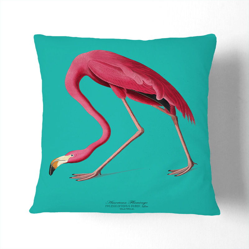 Flamingo in Teal Scatter Cushion, 55cm H x 55cm W x 20cm D, White