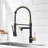 GAWEZA Pull Down Kitchen Faucet