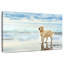 Golden Retriever bord de mer-107677681