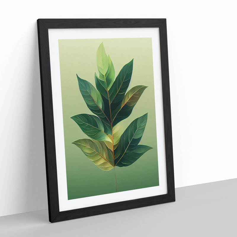 A Traditional Leaf - Single Picture Frame Print, Black, 34cm H x 25cm W x 2cm D