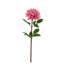 Arrangement floral 28 po Dahlia-1171431773