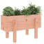 Meenakshi Wood Raised Garden Bed-1774958728-1774958733-1774958735
