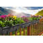 Aashma Self-watering Planters, Troughs, Flower Pots for Balcony Rails-259204266-259204267-259204269