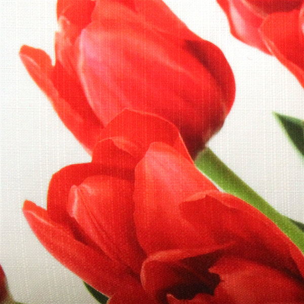 Coussin lombaire intérieur / extérieur Spring Tulips