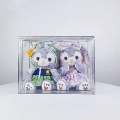 Acrylic Display Box