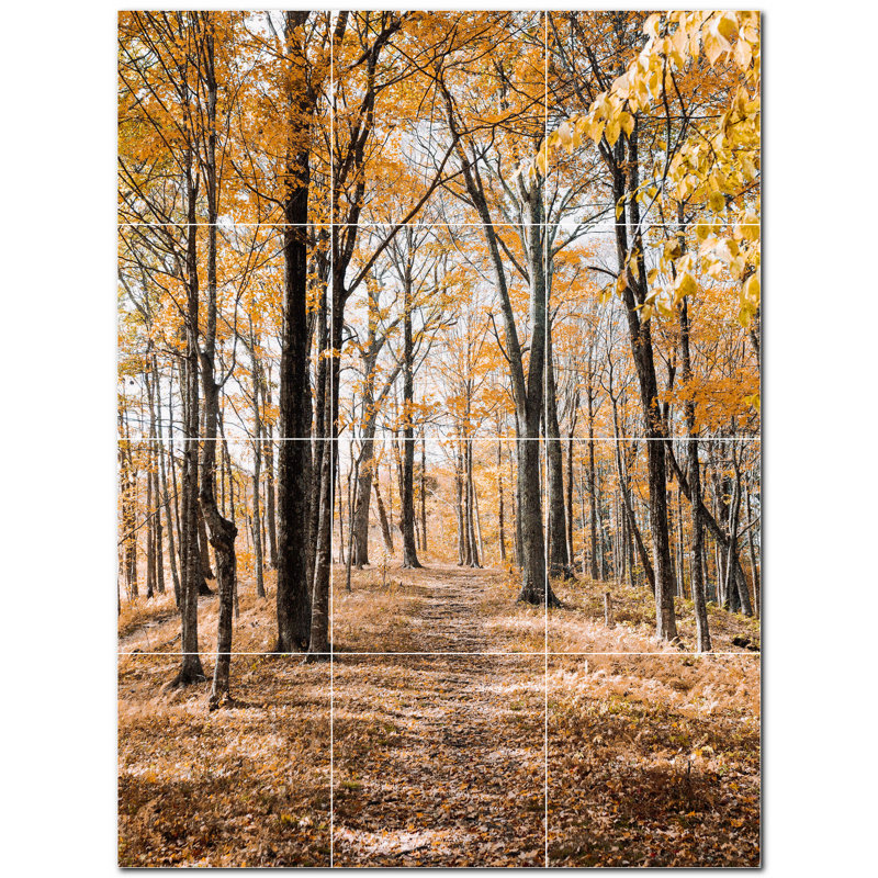 Photo d'automne 8 x 8